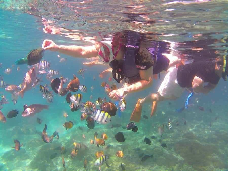 Bali: Private Snorkeling Trip to Blue Lagoon & Tanjung Jepun - When to go and what weather changes