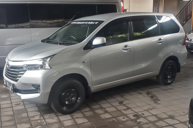 Bali Private Tour - Car with Driver - Choosing stops without wasting the day