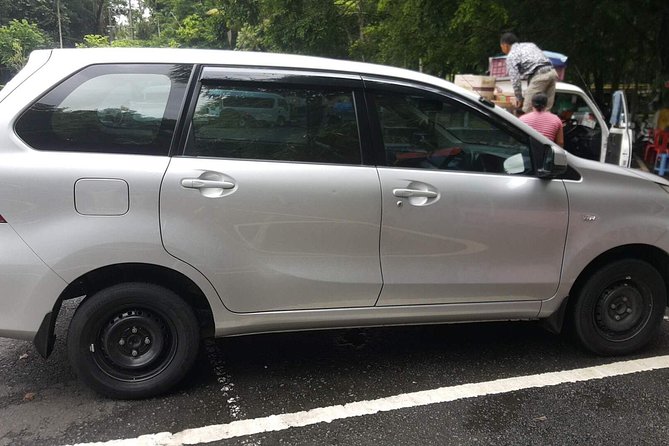 Bali Private Tour - Car with Driver - The comfort of a private, air-conditioned car