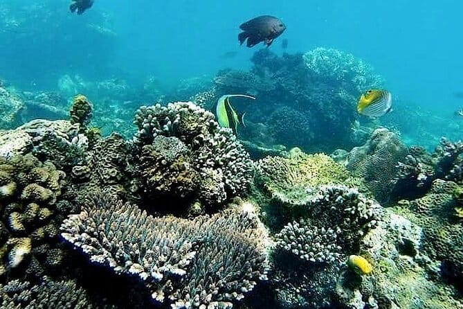 Bali Private Tour: Waterfall, Monkey forest and Tanah lot sunset - Is $56 a fair price for this Bali tour?