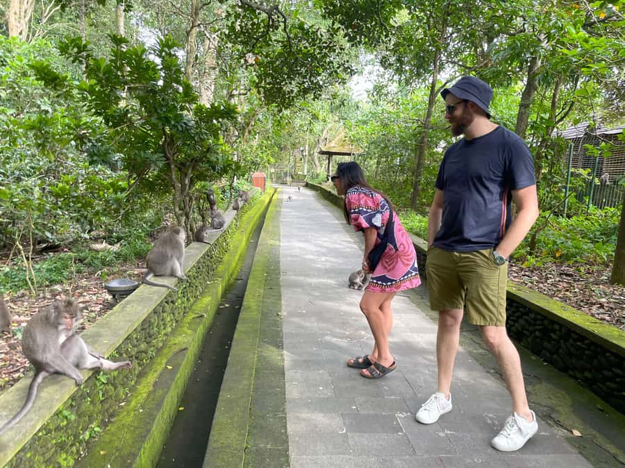 Bali: Private Ubud Highlights Tour with Customized Tour - Tibumana, Kanto Lampo, and Tegenungan waterfalls