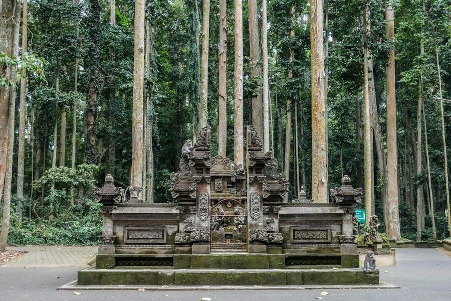 Bali: Purification Ritual at Taman Beji Griya - What the guide adds to the day