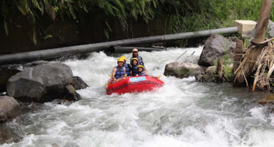 Bali Rafting: River Rafting with Zipline Down to the River - Key points to know before booking