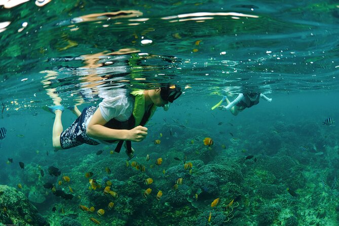 Bali Reef Cruise and Lembongan Island Day Trip - What the day is worth at $164.29