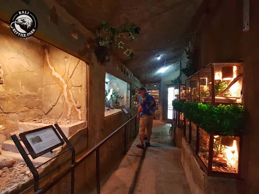 Bali Reptile Park 1-Day Admission Ticket - How Long to Stay and How to Get There