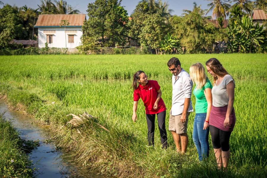 Bali: Rice Terraces Guided Hiking Experience - Key details at a glance