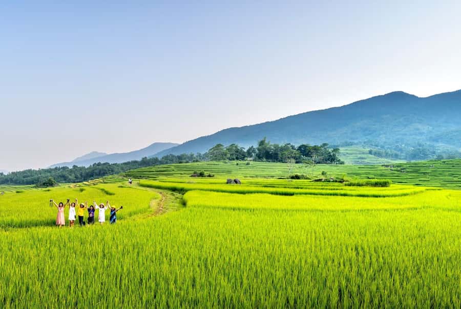 Bali: Rice Terraces Guided Hiking Experience - What the strongest guide experiences add