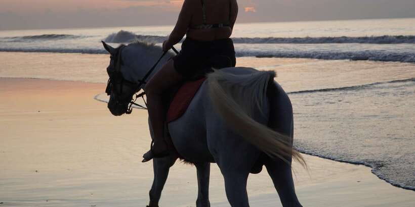 Bali: Romantic Seafood Dinner Jimbaran Beach Include Sunset - What happens during the one-hour beach dinner