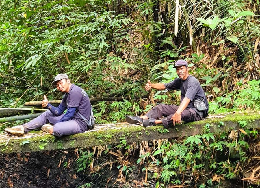 Bali’s Mystical Jungle Trek & Hidden Waterfall Adventure - Key points to know before booking
