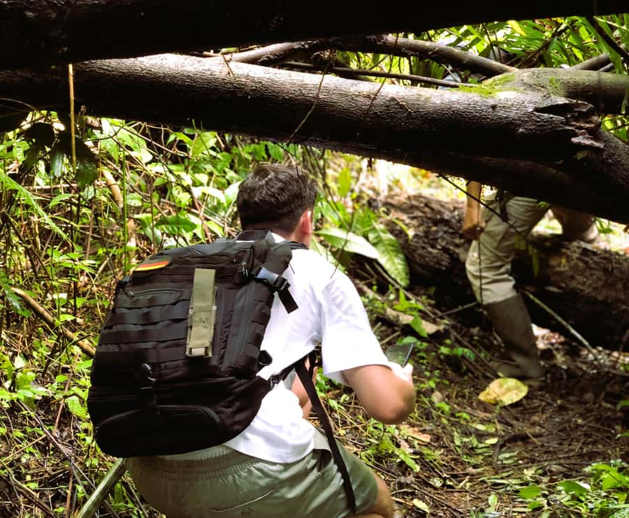 Bali’s Mystical Jungle Trek & Hidden Waterfall Adventure - Why this Bali trek feels different