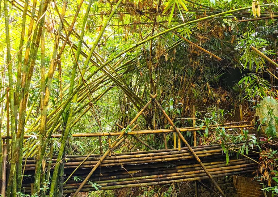 Bali’s Mystical Jungle Trek & Hidden Waterfall Adventure - The quiet Beji temple and clear spring