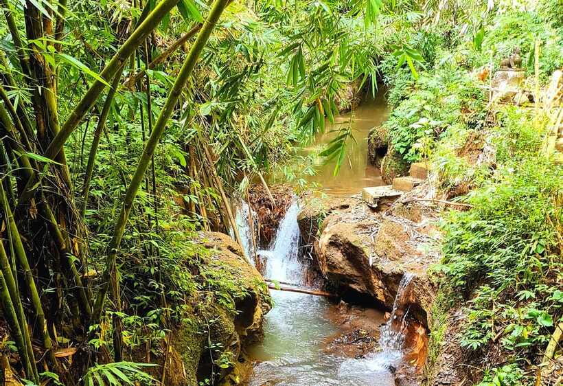 Bali’s Mystical Jungle Trek & Hidden Waterfall Adventure - Lunch at Warung Balikaru and a look at village life