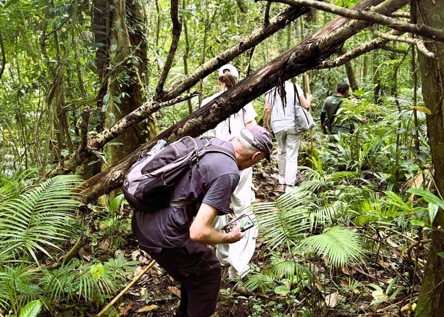 Bali’s Mystical Jungle Trek & Hidden Waterfall Adventure - A second walk, a photo stop, and the waterfall
