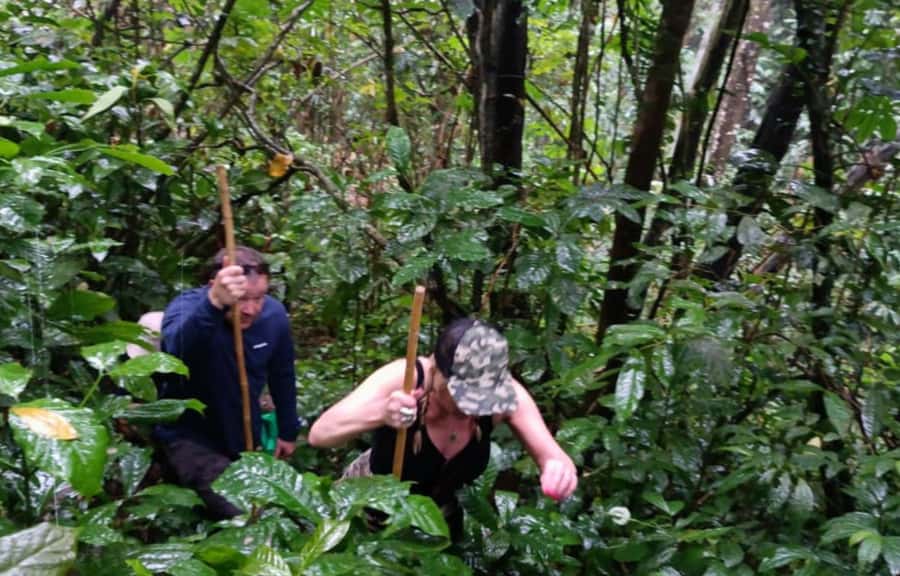 Bali’s Mystical Jungle Trek & Hidden Waterfall Adventure - What $86 includes, and where the value lies