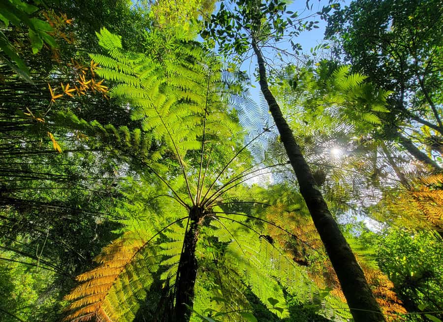 Bali’s Mystical Jungle Trek & Hidden Waterfall Adventure - Small details that make the day work better
