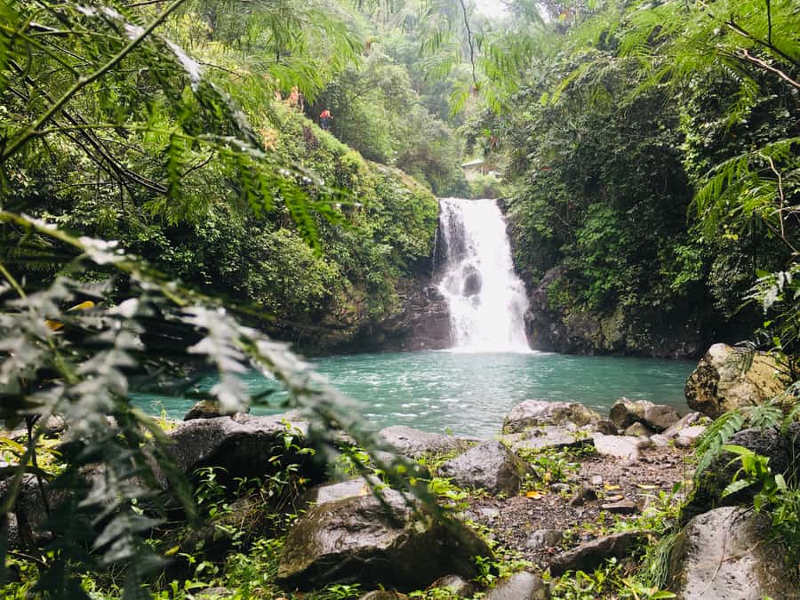 Bali: Sambangan Waterfalls Trekking, Sliding, & Jumping Trip - Kroya Waterfall’s 12-meter natural slide