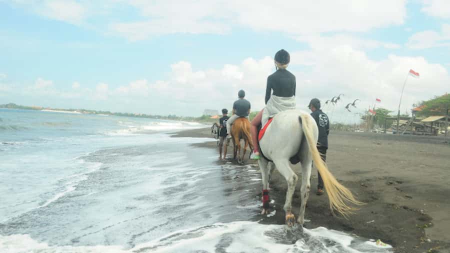 Bali: Sanur Horse Riding for Beginner Experience - Key points to know before booking