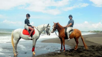 Sanur Horse Riding for Beginner Experience
