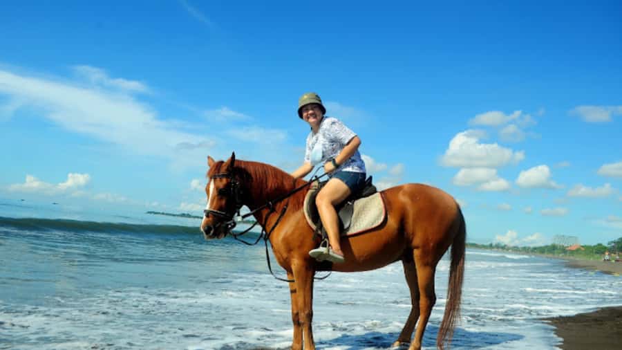 Bali: Sanur Horse Riding for Beginner Experience - Who should choose this Sanur activity?