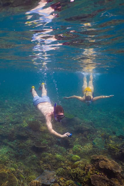 Bali Sanur: Snorkeling day trip to Nusa Penida 3 sites - Three snorkel stops, three chances to see marine life
