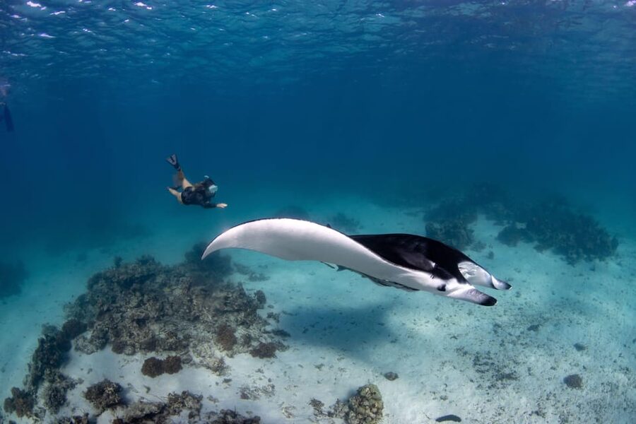 Bali Sanur: Snorkeling day trip to Nusa Penida 3 sites - Safety, comfort, and the crowded manta site