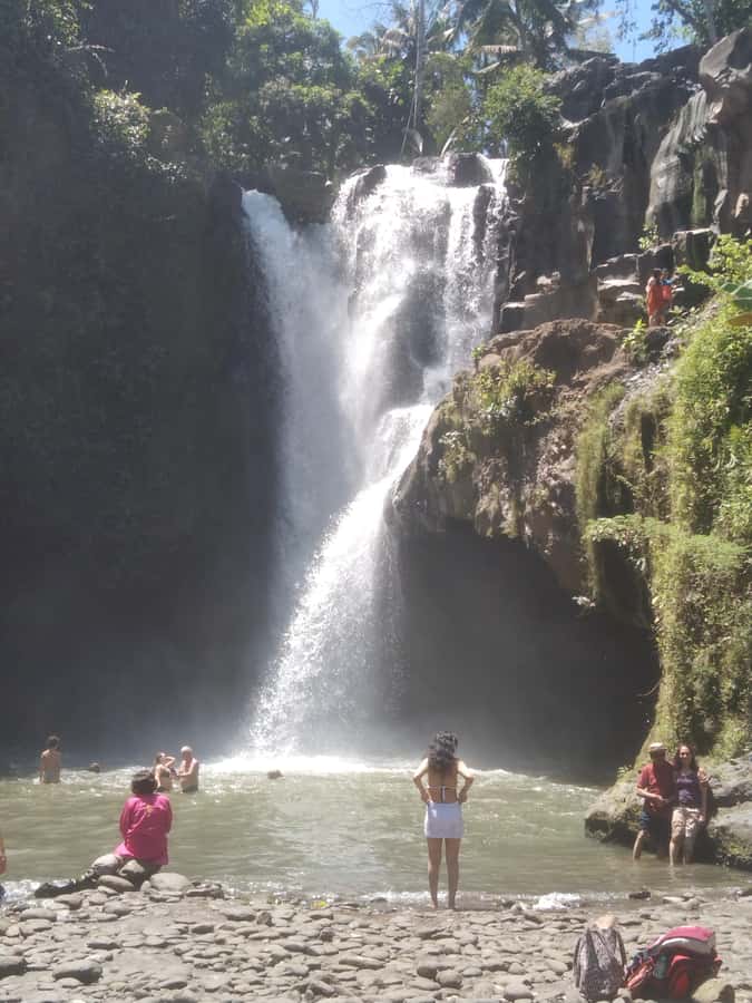 Bali Scooter Tour With Tour Guide - Who will enjoy this most