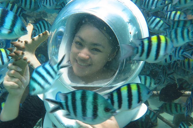 Bali Sea Walker - Tropical fish and the 25-minute underwater walk