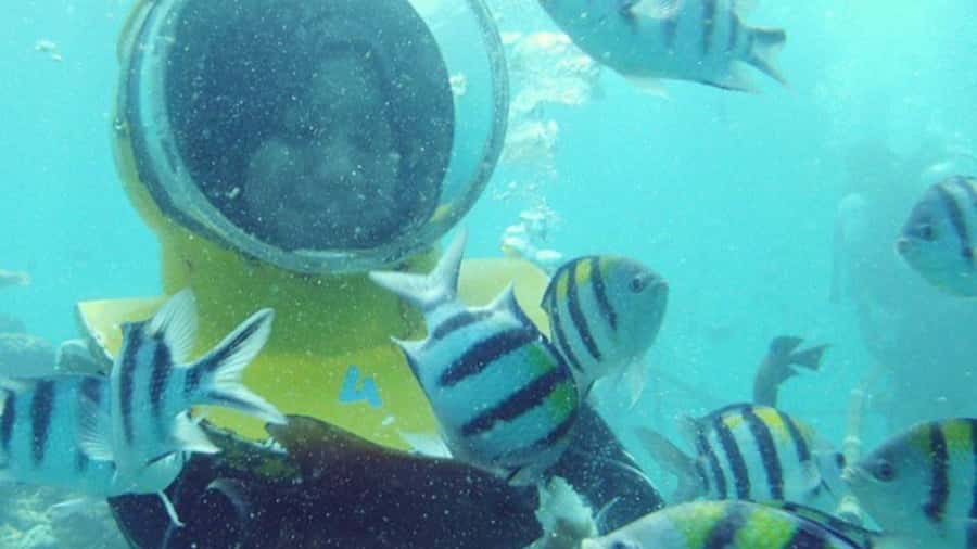 Bali: Sea Walker Under Water Experience - What the $24 Bali sea walk actually gives you