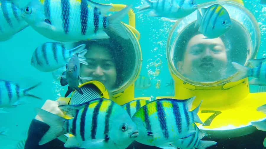Bali: Sea Walker Under Water Experience - Coral reefs, fish, and the hand-feeding session