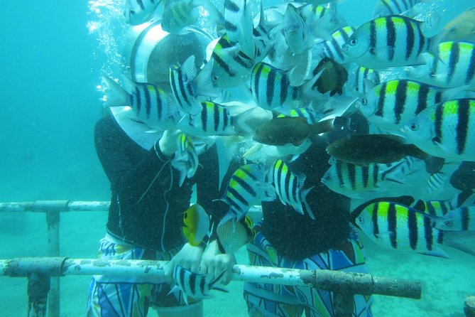 Bali Sea Walking Experience - What the optional photos are really worth