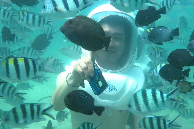 Bali Sea Walking Experience - Is $35.35 a fair price?