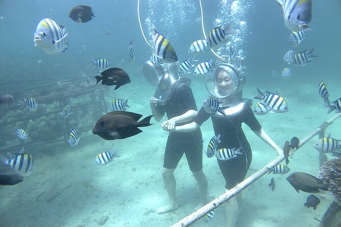 Bali Seawalker - What the Bali Seawalker experience is really like