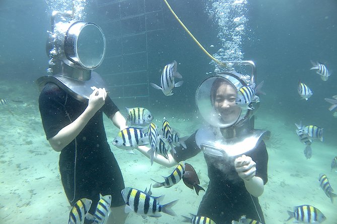 Bali Seawalker - Twenty minutes beside Bali’s coral and fish