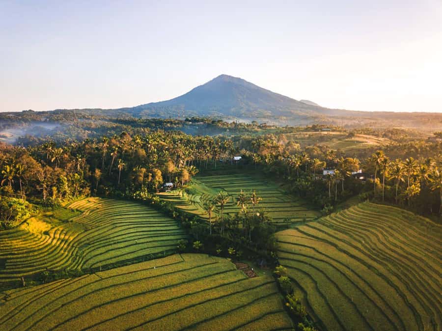 Bali: Secret and Untouristic Tour North West Bali. - Why this northwest Bali route feels different