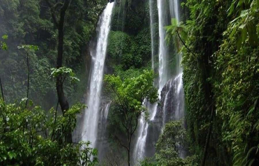 Bali: Secret and Untouristic Tour North West Bali. - Finding Blahmantung Waterfall through the garden