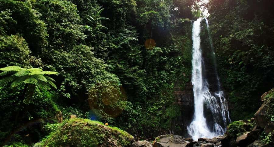 Bali: Secret and Untouristic Tour North West Bali. - What the private car adds to a long day