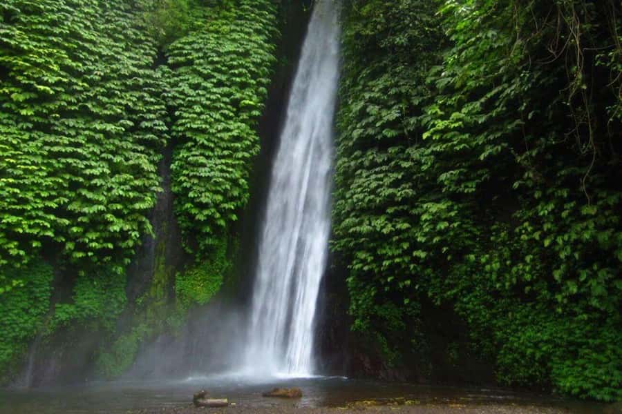 Bali: Secret and Untouristic Tour North West Bali. - Who should book, and who should think twice?