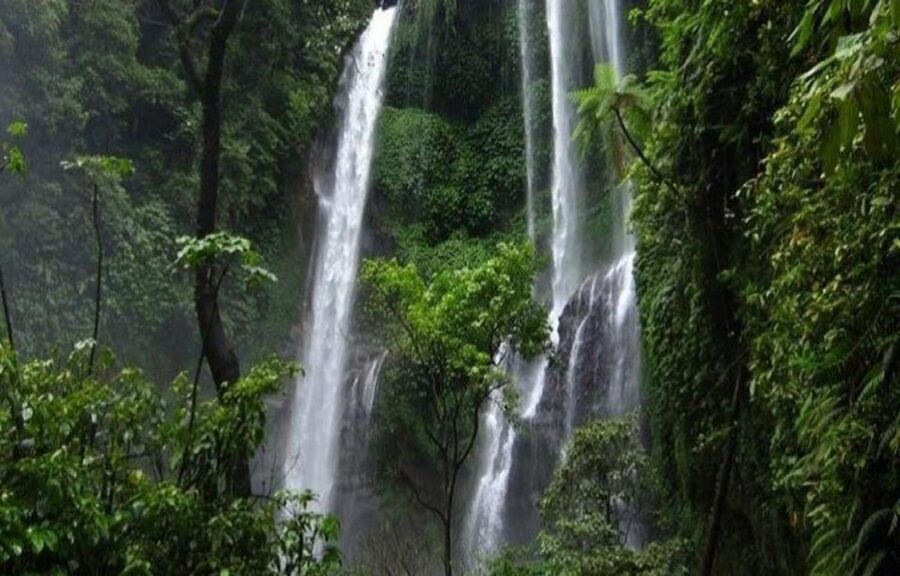 Bali: Secret and Untouristic Tour North West Bali. - What to bring for the rice fields and waterfall