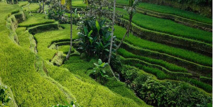Bali: Secret Garden, Ulun Danu Temple and Waterfall Tour - Walking through the Secret Garden area