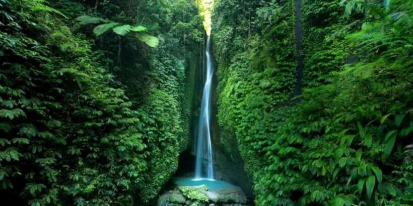 Bali Secret Waterfalls with Ulun Danu Beratan Temple Tour - Leke Leke Waterfall: forest, water, and a change of pace