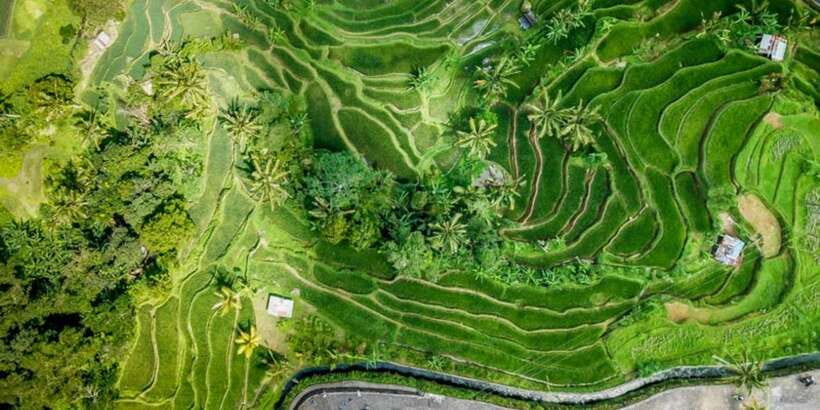 Bali Secret Waterfalls with Ulun Danu Beratan Temple Tour - Ulun Danu Beratan on Lake Beratan