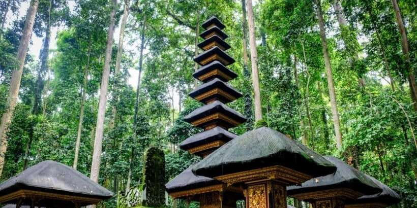 Bali Secret Waterfalls with Ulun Danu Beratan Temple Tour - What the private vehicle adds