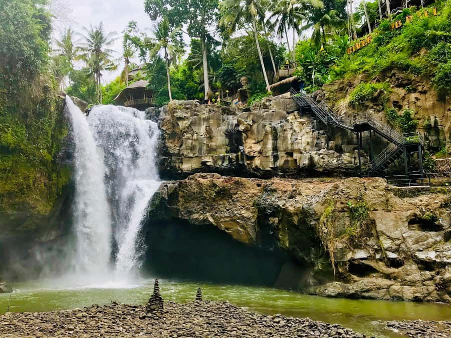 Bali: Shared or Private Highlights Ubud with Cretya Jungle - Key points to know before booking