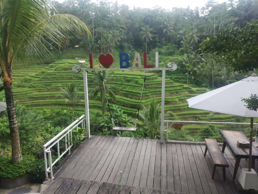 Bali: Shore Excursion for Cruises's passenger -All Inclusive - Tegenungan Waterfall and the Photo Stop