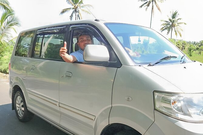 Bali Shore Excursions : Private Bali Car Rental Service - Key points to know before you book