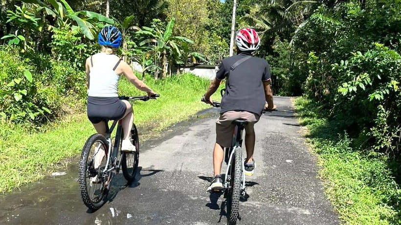 Bali: Sidemen Valley Cycling Tour with Gembleng Waterfall - Riding through Sidemen’s rice terraces