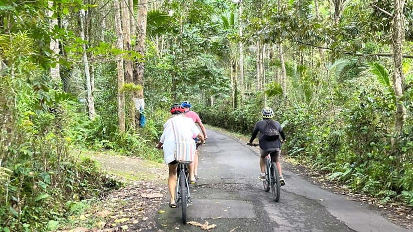 Bali: Sidemen Valley Cycling Tour with Gembleng Waterfall - Learning how Balinese arak is made