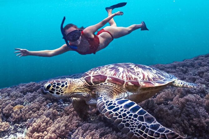 Bali Snorkeling at Blue Lagoon with Waterfall Include Lunch - Lunch at Topi Inn in Padangbai