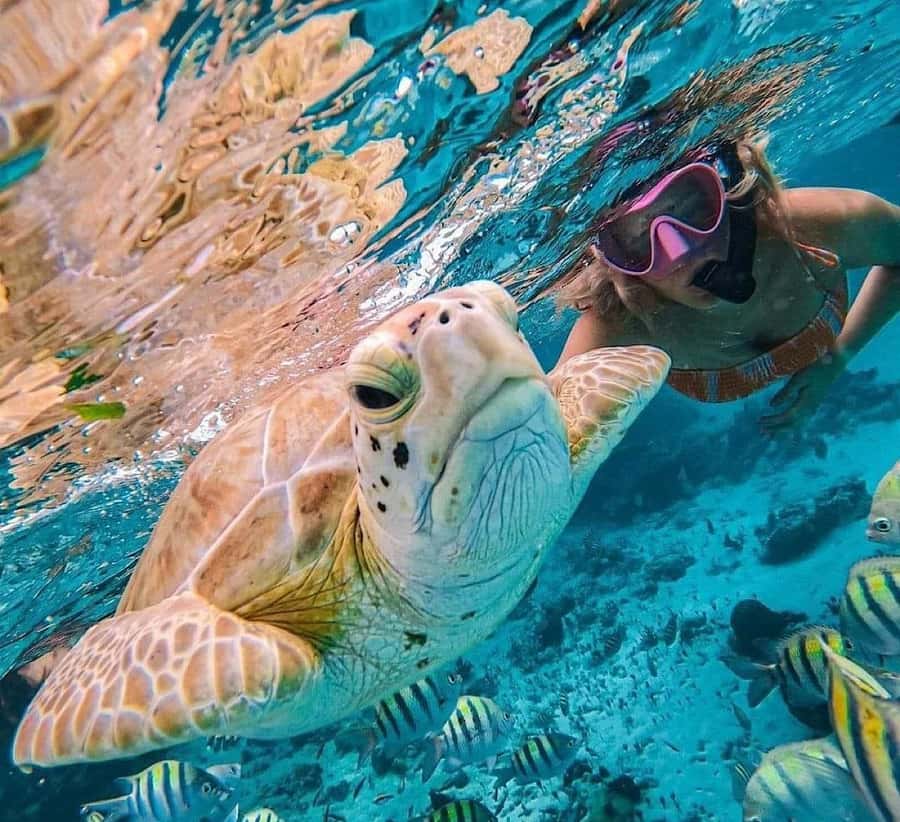 Bali : Snorkeling at two Spots with Lunch and transport - Tanjung Jepun brings a quieter underwater setting