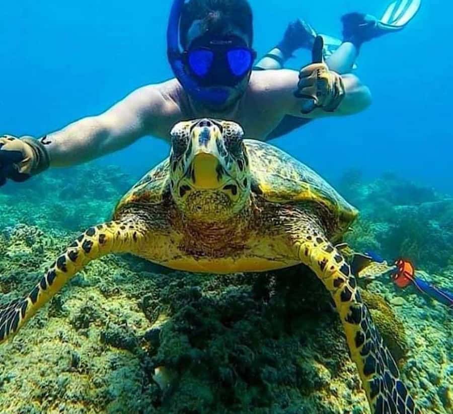 Bali : Snorkeling at two Spots with Lunch and transport - Kanto Lampo is a photogenic final stop